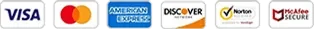 Payment methods accepted at the official checkout